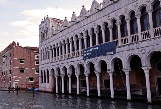 Museos en Venecia con los niños